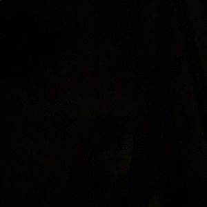 Meet your Posher, Stephen